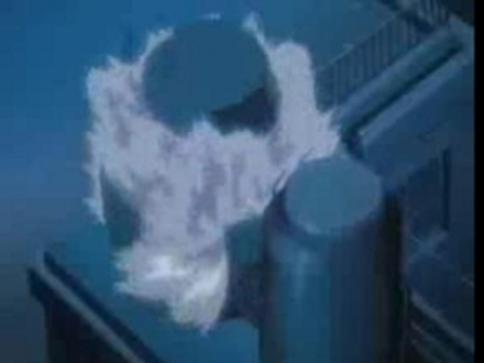 Bleach bound's fight