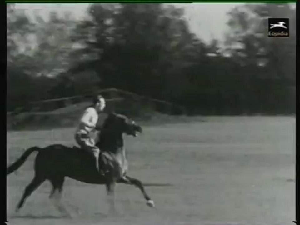 Rare...J.d'Orgeix sur Sucre de Pomme son cheval olympique