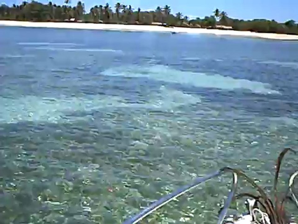CLIP0008