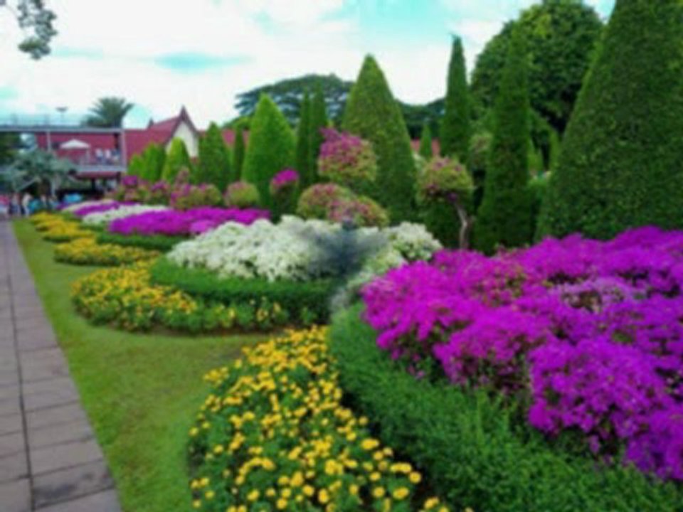 Nedim varol, Tufanbeyli, Adana.  (Birgül yiğit.2013 )
