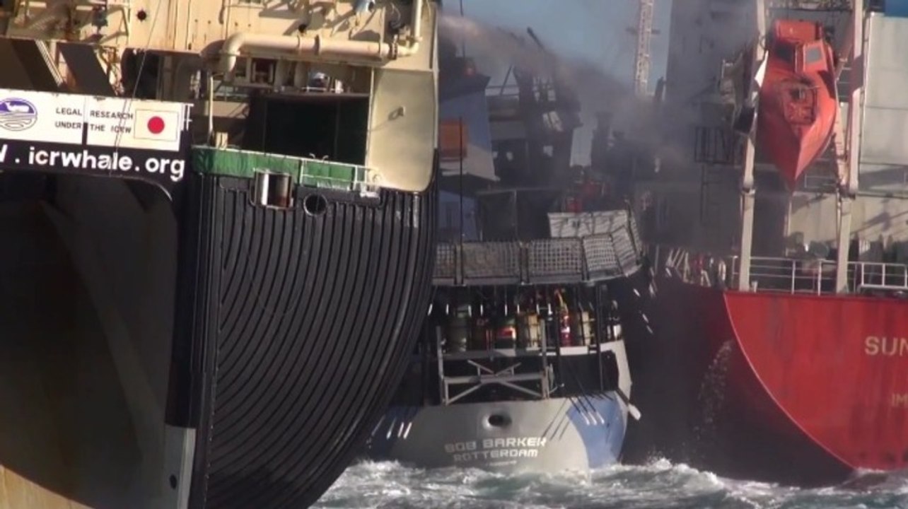 Des chasseurs de baleines attaquent un bateau d'écologistes !