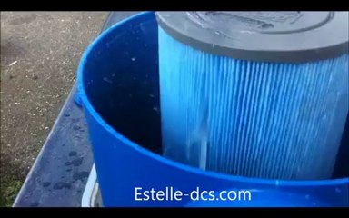 Estelle automatic filter cleaner