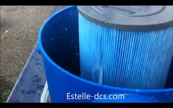 Estelle automatic filter cleaner