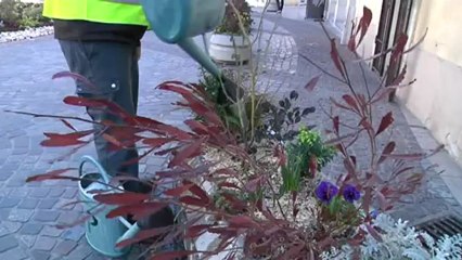 Le maire de Pérols embauche un détective pour pister un agent indélicat