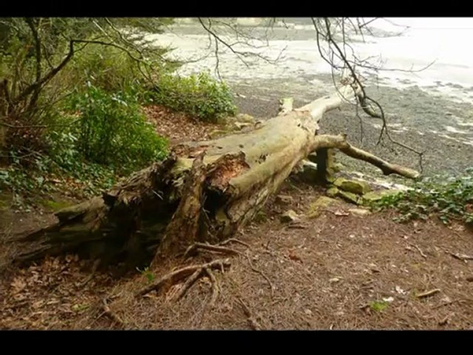 île de BERDER février 2013