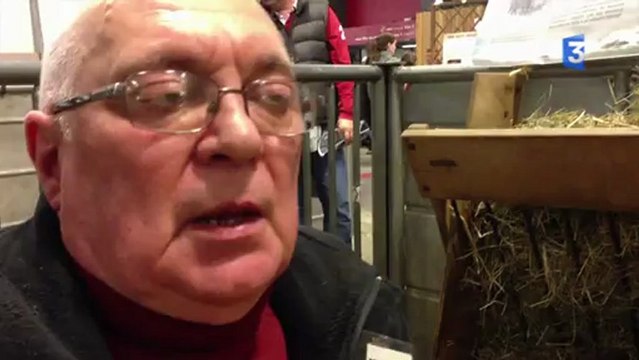 SIA 2013 : Les moutons d'Ouessant, plus petites tondeuses écologiques