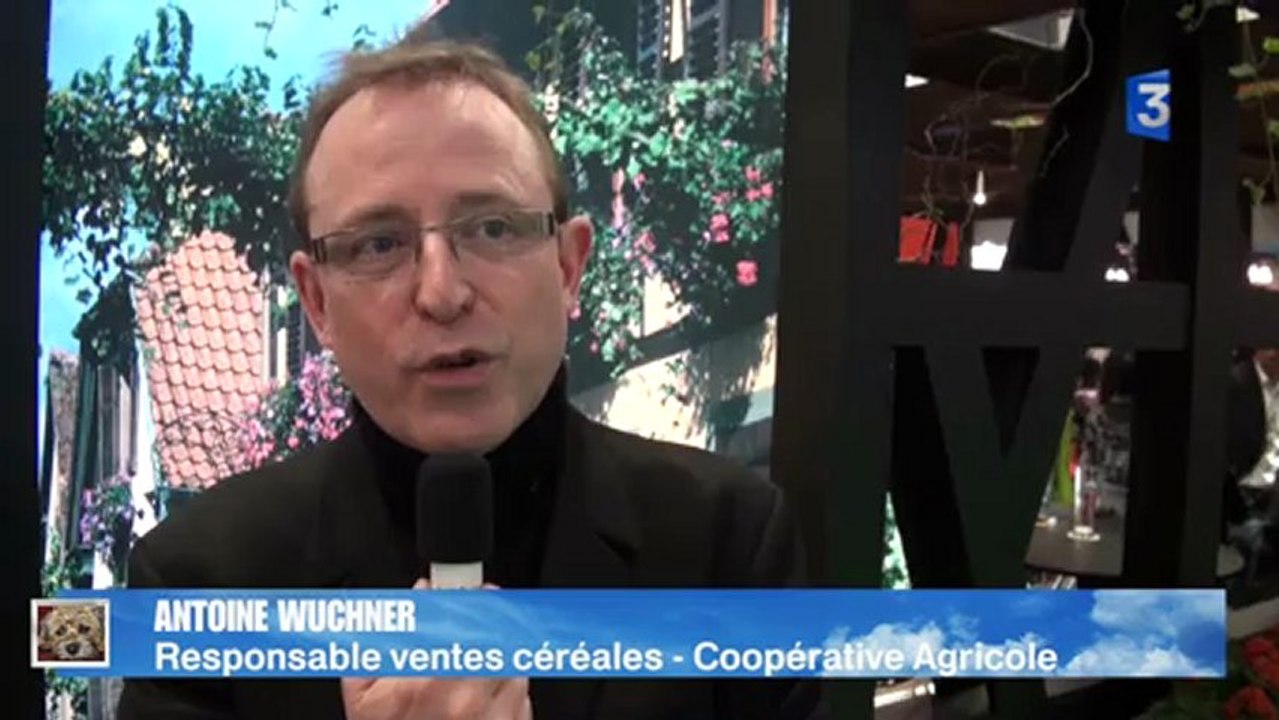 SIA 2013 : L'avenir de la filière du houblon en Alsace