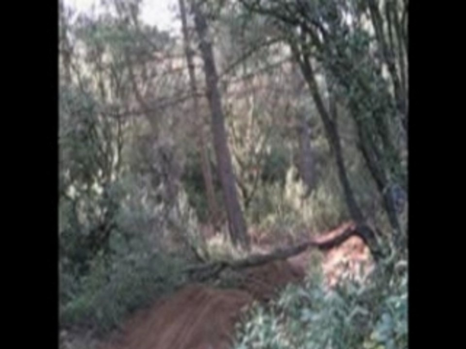 session dirt avec le zinc-part.1