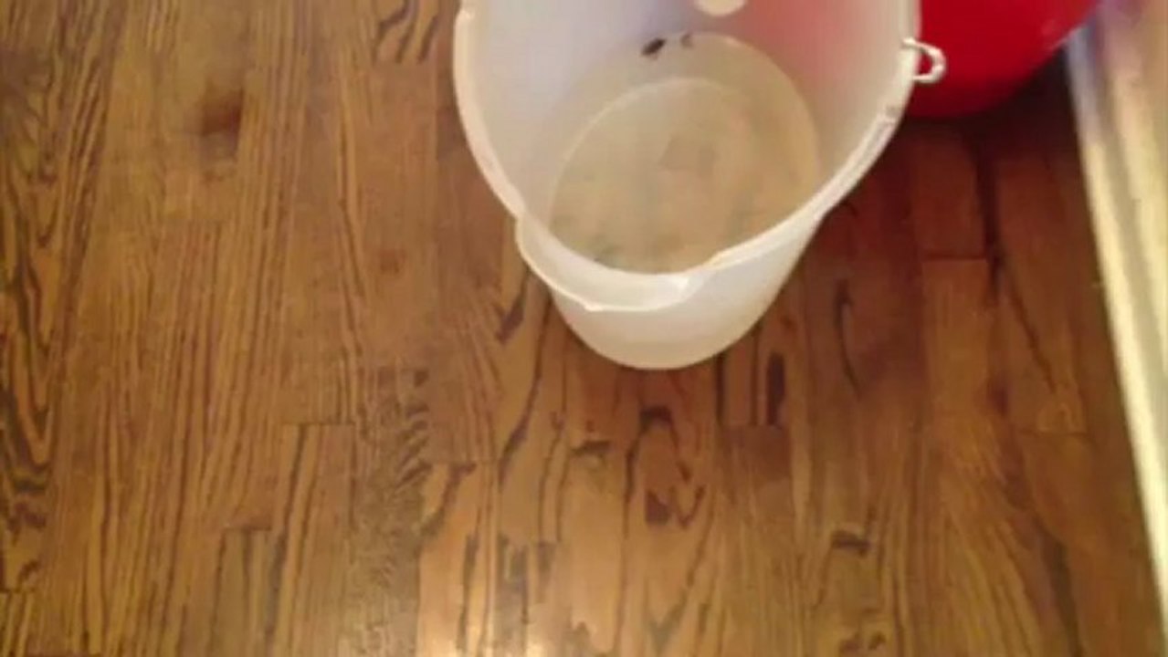 Water Leak From Ceiling Atlanta