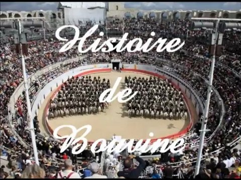 Bande Annonce de Histoire de Bouvine
