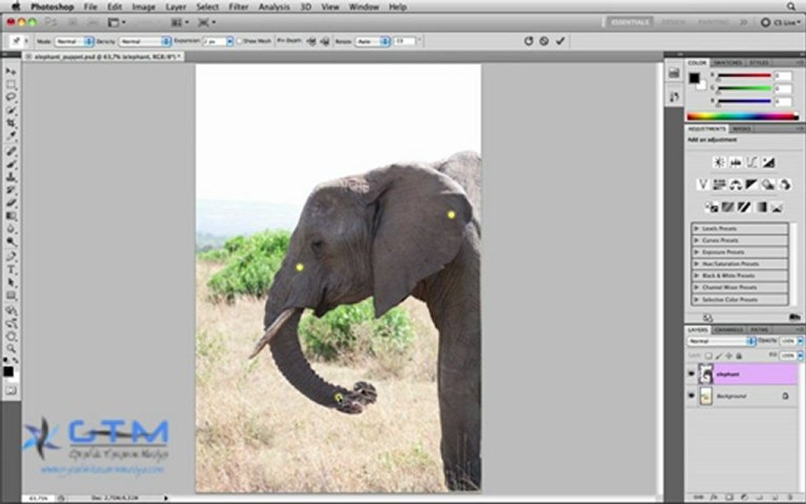 17.Photoshop CS5 – Kukla Çarpıtma (Puppet Warp)_0