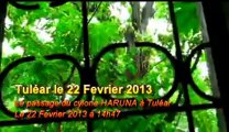 Cyclone HARUNA à TULÉAR Ven 22-02-2013 à 14h47