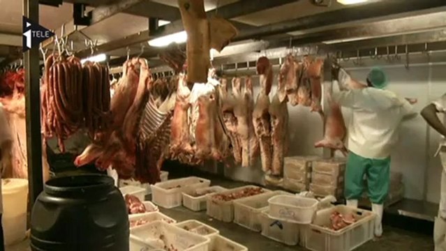 Afrique du Sud : de la viande d'âne dans les assiettes