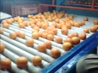 Mobile Film Orange ( Group B) sargodha university