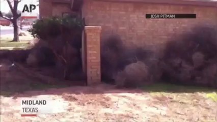 Josh Pitman's Texas Home Invaded By Tumbleweeds