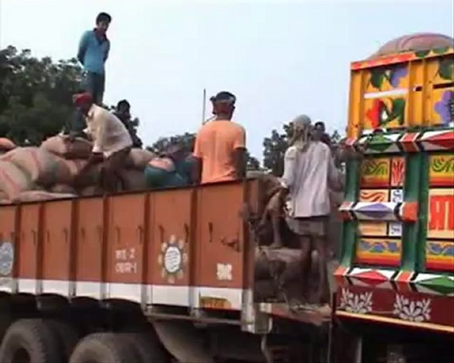 হিলিতে জামাতের ডাকা হরতালের প্রভাব পড়েনি