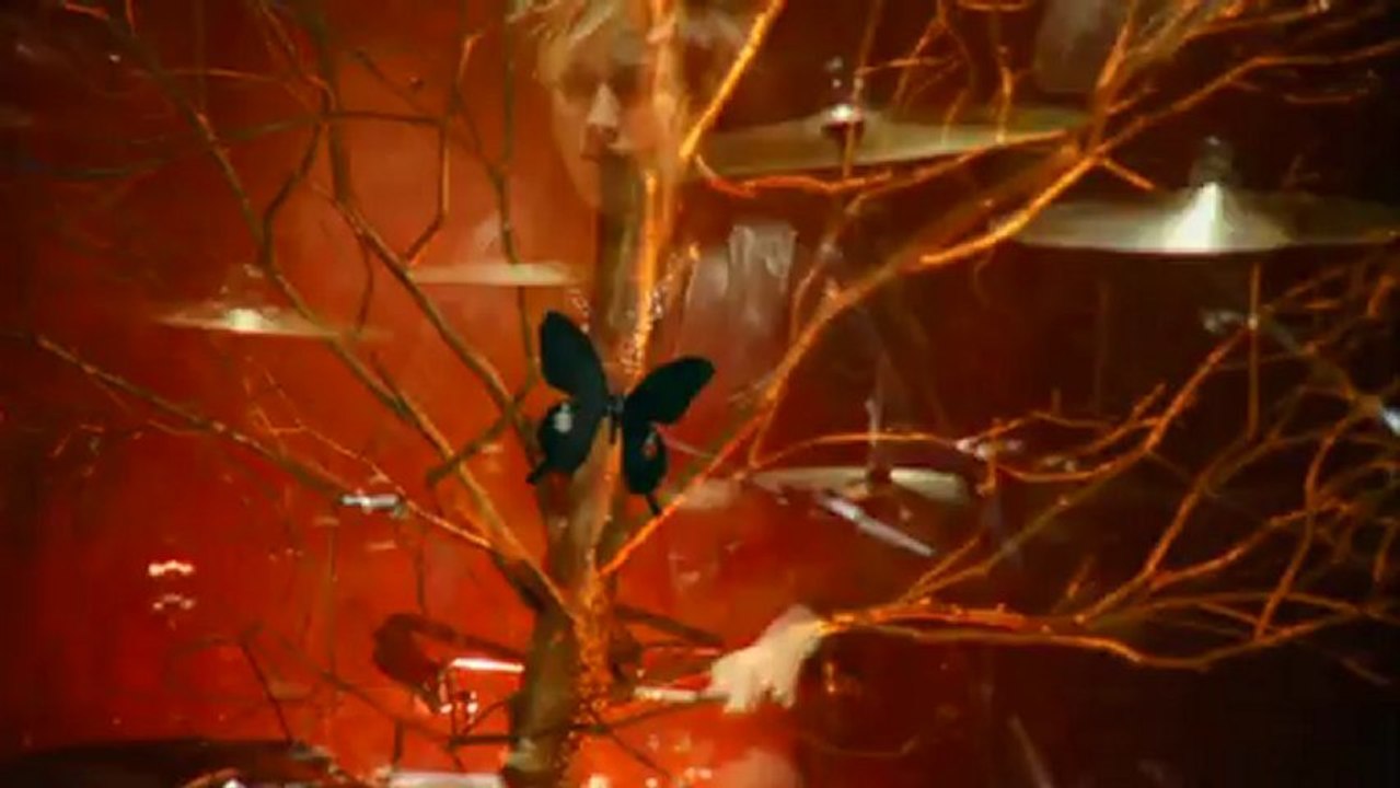 [KFs] Mucc - Ageha