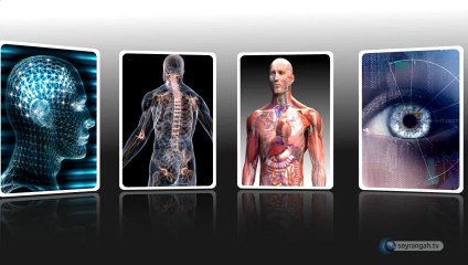 İyiliğin Allah'tan, kötülüğün kuldan olması