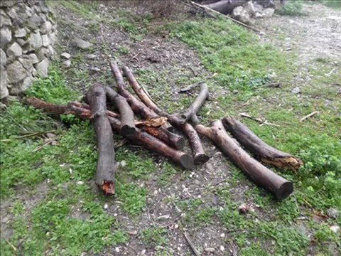 BEN MEYLİMİ ÜÇ GÜZELE DÜŞÜRDÜM _Ali Naki GÜNDOĞDU