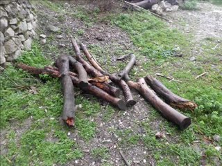 BEN MEYLİMİ ÜÇ GÜZELE DÜŞÜRDÜM _Ali Naki GÜNDOĞDU