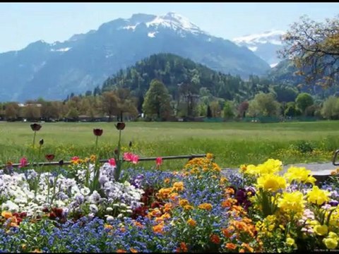 AZERİ KIZI GÜNEL BİRGÜN TOPRAK OLACAĞIZ