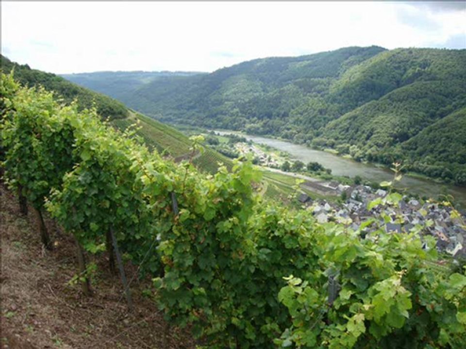 Wart  auf mich COVER Yamaha Tyros4