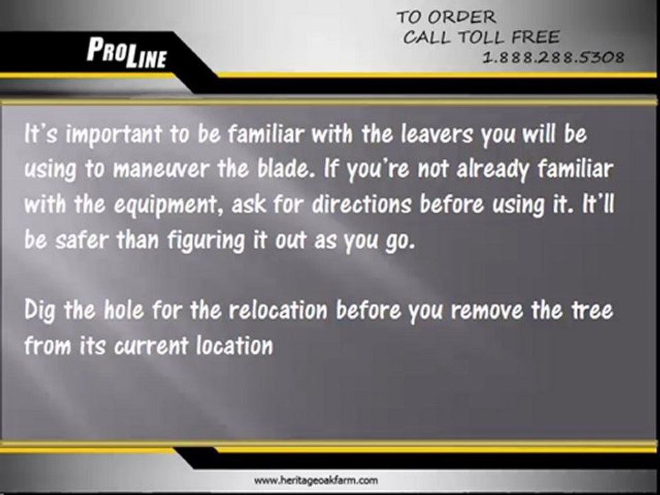 Effective Tree Transplanting Tips For Relocating Trees