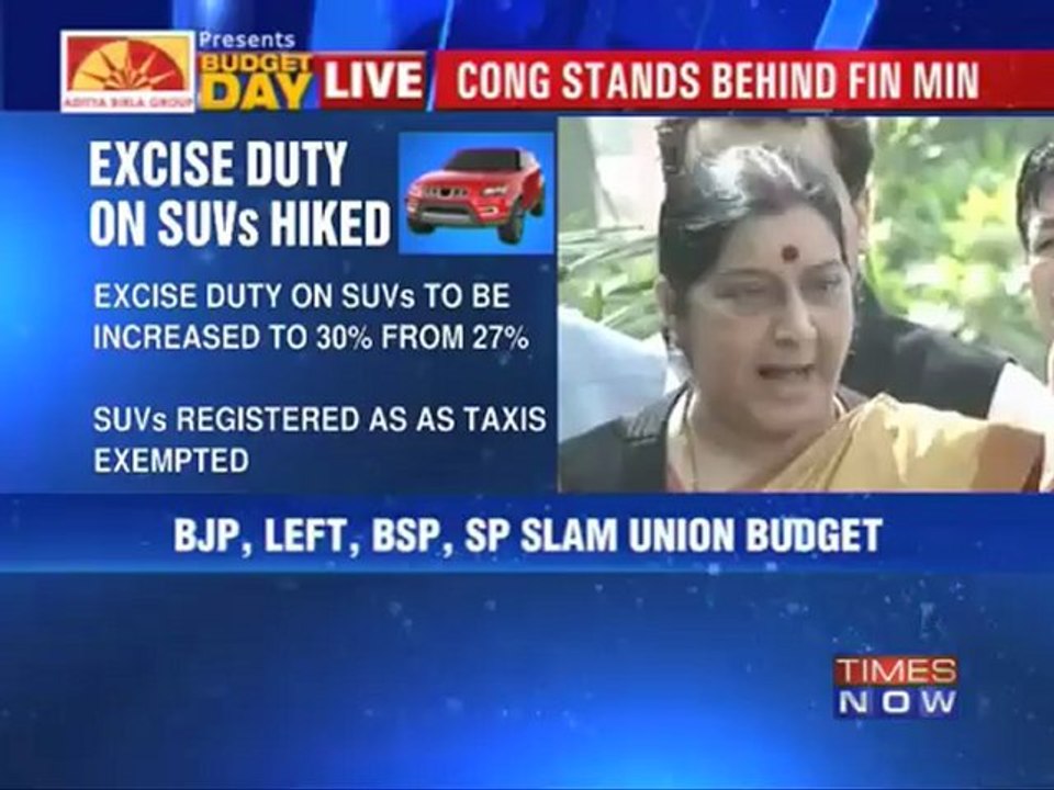 Budget 2013: Union Budget sees mixed reactions.