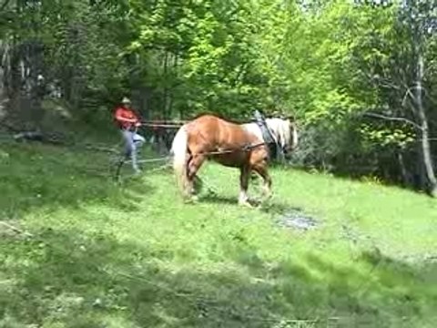 Chantier-ecole de Montdenis (video6)