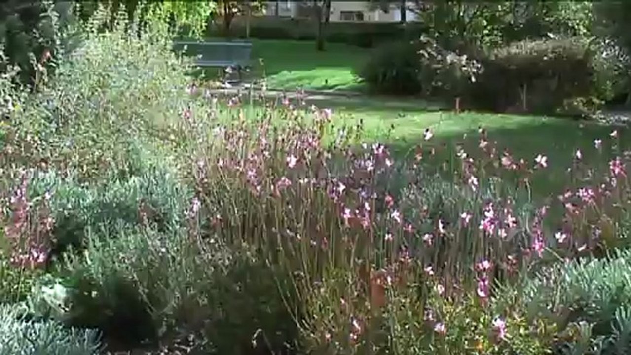 Saint-Leu-la-Forêt, une ville à découvrir