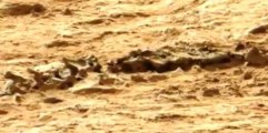 CURIOSITY FILMA ESQUELETO DE DINOSAURIO REPTIL EN MARTE!!