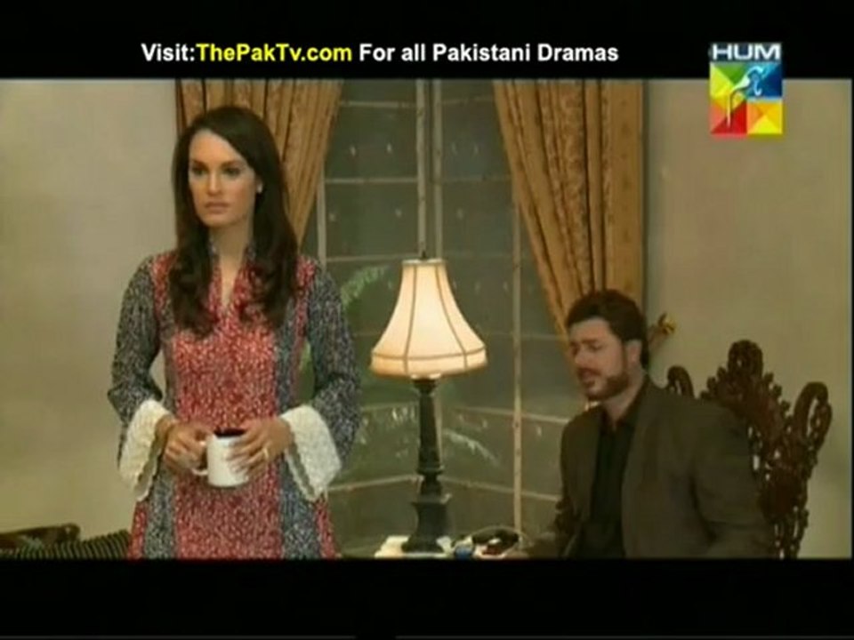 Sitamgar Episode 19 By HUM TV - Part 2