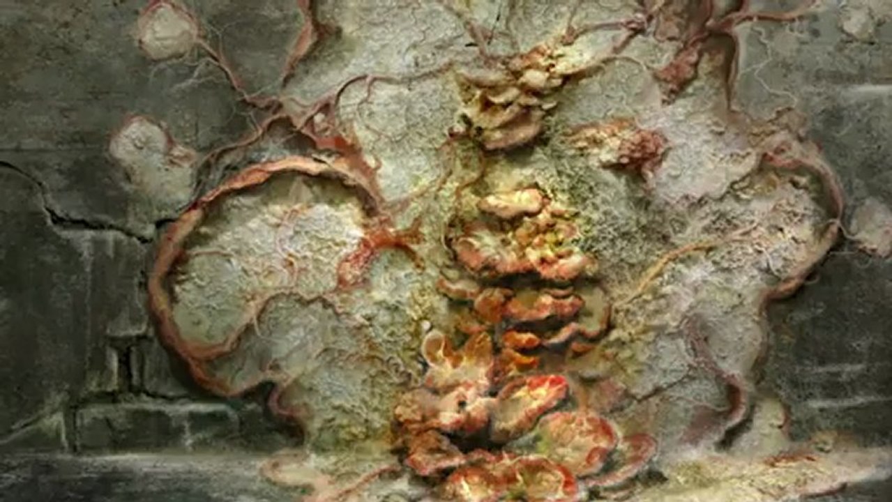 The Last of Us - Les infectés