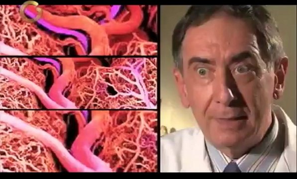 Saber Vivir: ¿Cómo controlar la diabetes?