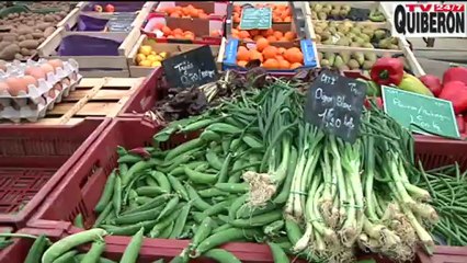 Saint-Pierre Quiberon  | On mange du steak de Cheval  | TV Quiberon 24/7