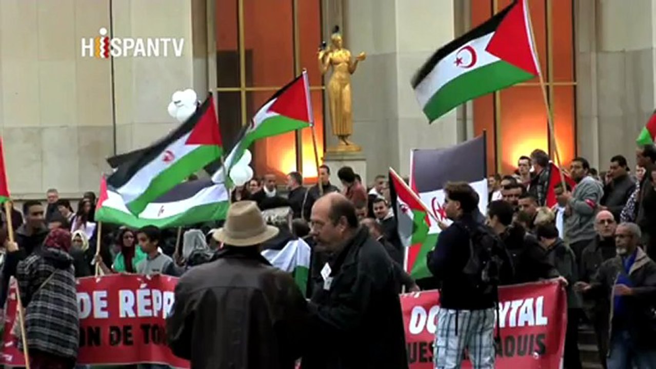 Saharauis reivindican su derecho a la autodeterminacion en Paris(260213)2