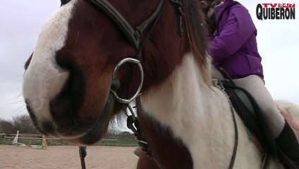 Quiberon   | Des cavaliers ont Mangé du Cheval    | TV Quiberon 24/7
