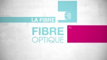 Découvrir : LA FIBRE