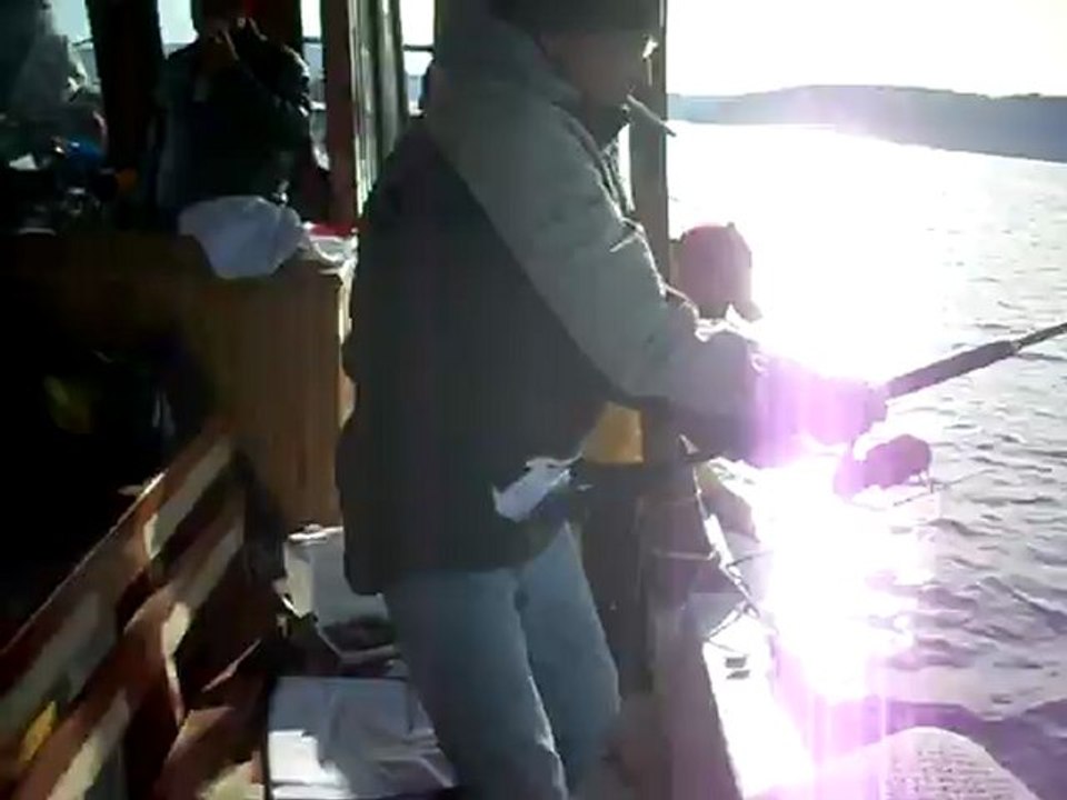 ali abi kaçan