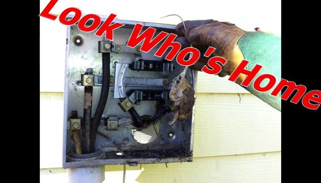 Electrical Solution: Lighting Retrofit The Cumming Electrician 30040