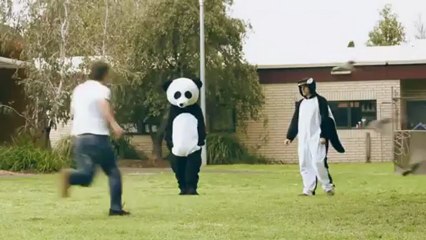 How To Recover From Google Panda And Penguin Updates