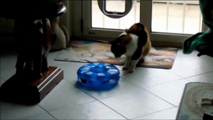 tabatha 07.03 musica