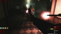 Call of Duty Custom Zombies - Corridor High Round w/Essofps & Eirebornfenix Part 3
