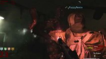 Call of Duty Custom Zombies - Corridor High Round w/Essofps & Eirebornfenix Part 2