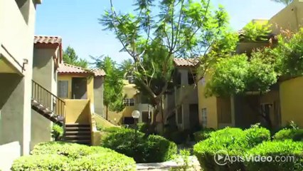 The Palms Apartments in Phoenix, AZ - ForRent.com