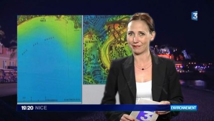 Un site internet dévoile le taux de pollution à Nice