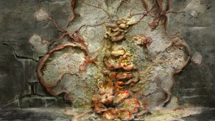 The Last Of Us - Developers Series 1 Hush