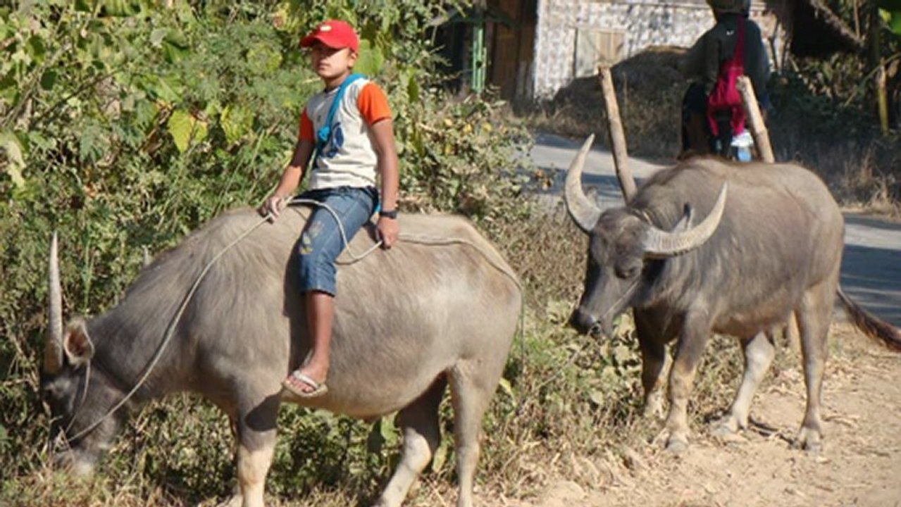BIRMANIE LAC INLE PHOTOS