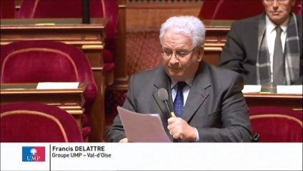 Francis Delattre, Sénateur du Val-d'Oise : Crédit d'impôt compétitivité et emploi