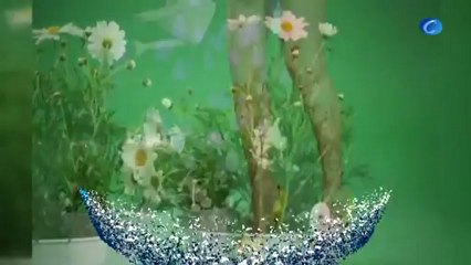 Bar Refaeli posa para Passionata